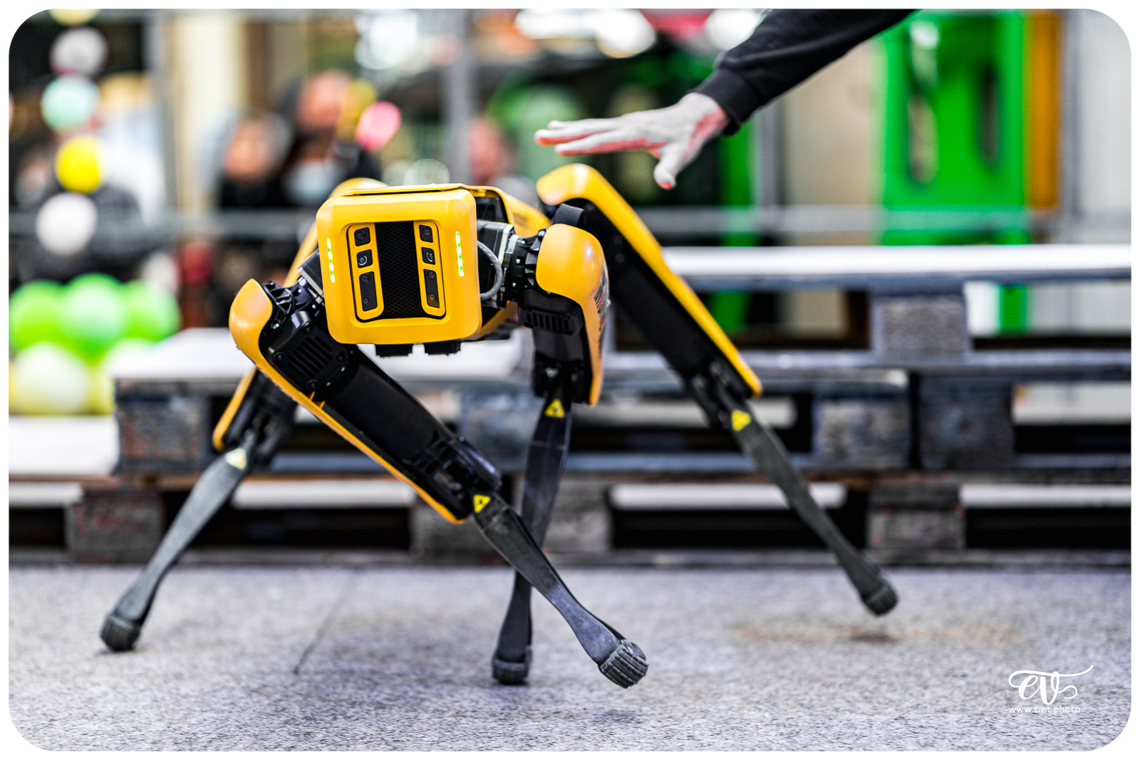 SPOT (BOSTON DYNAMICS)